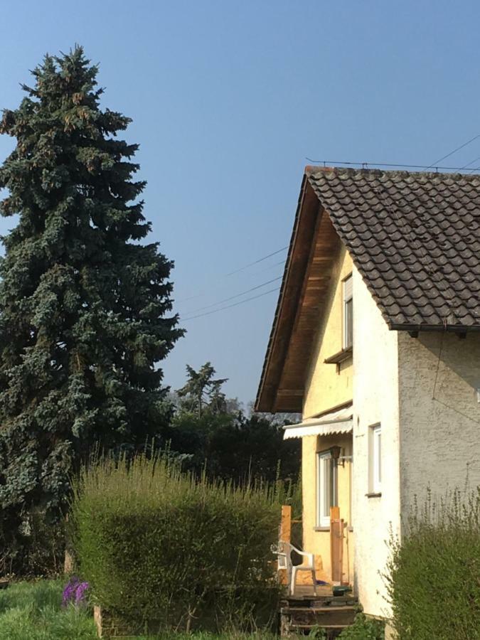 Riedwiesen Bad Rappenau Extérieur photo